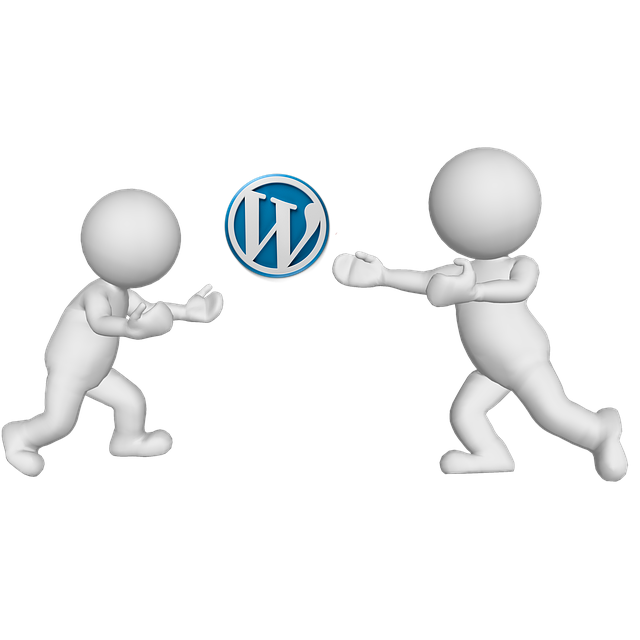 WordPress Beginner